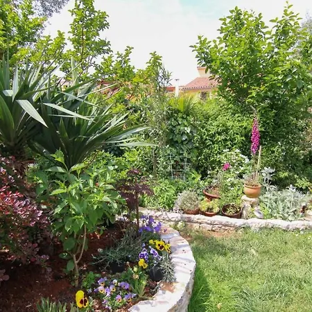 Apartman Kristina D Fažana